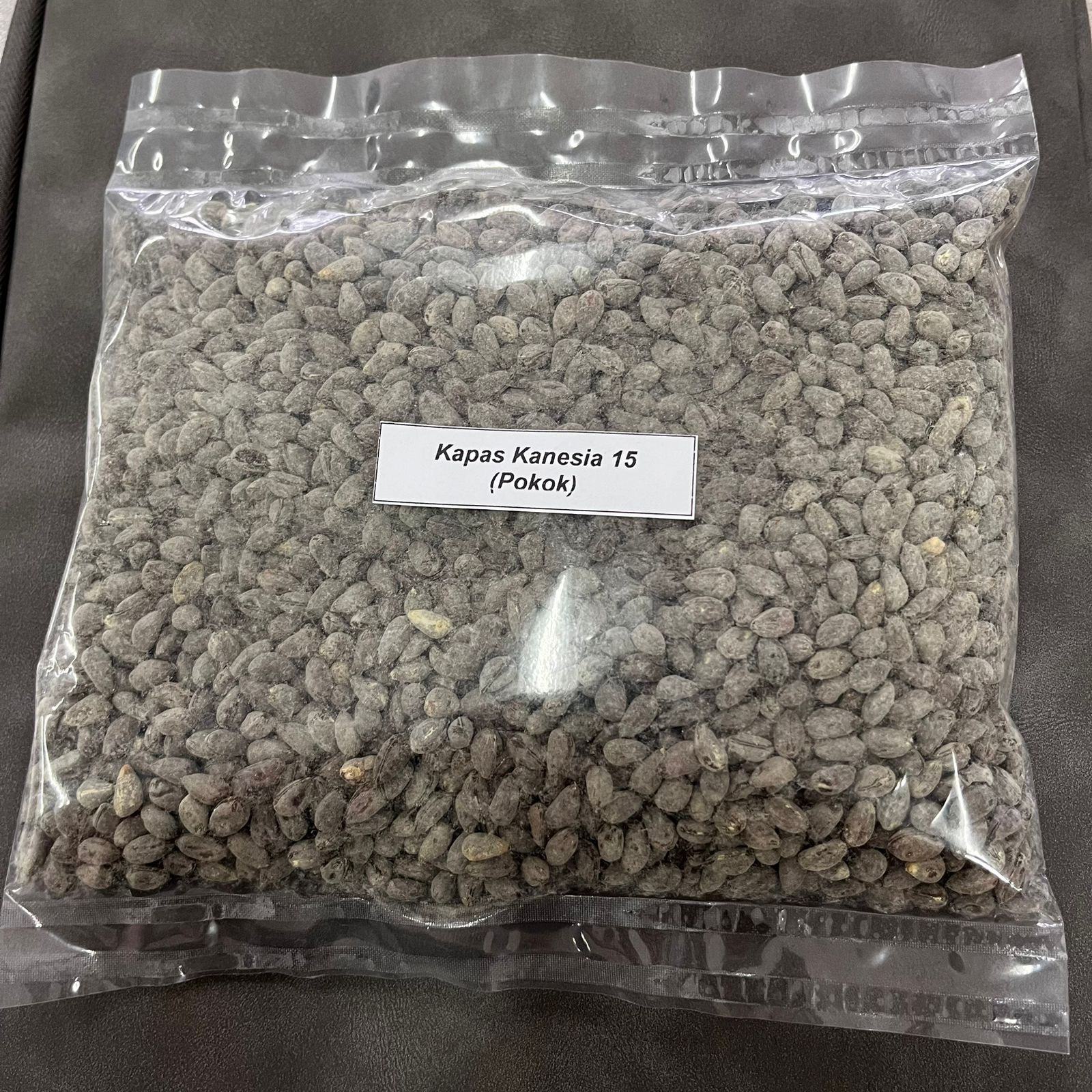 Kapas Kanesia 15 (Pokok)